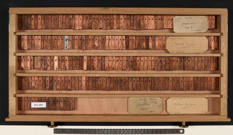 Matrices : Jaugeon corps 9 , romain