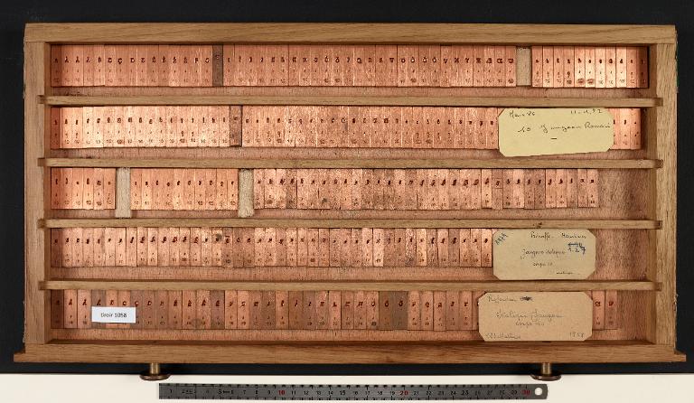 Matrices : Jaugeon corps 10 , romain