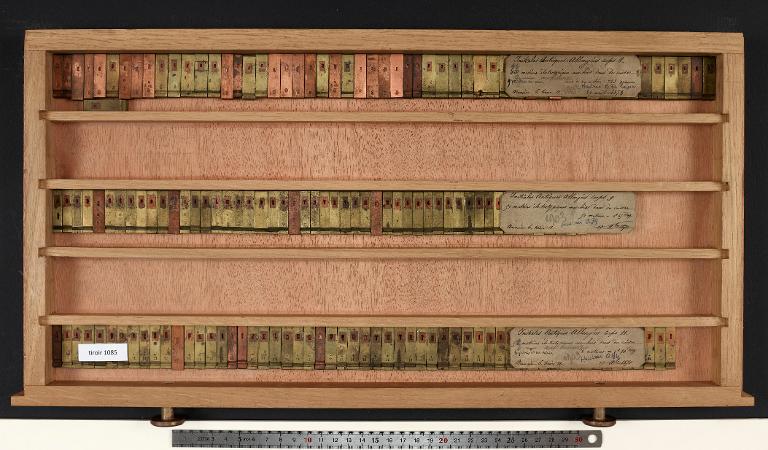 Matrices : antique allongée corps 8 , initiale