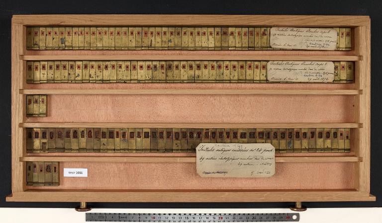 Matrices : antique blanche corps 24 , initiale