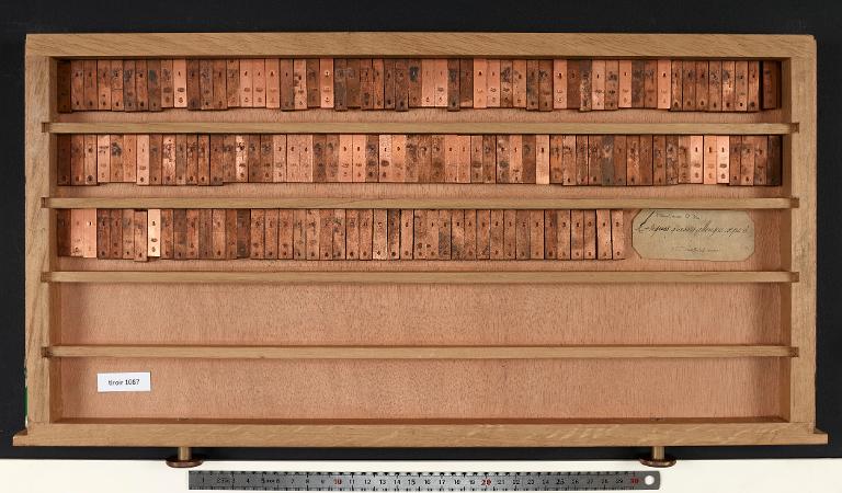 Tiroir de matrices : antique grasse allongée corps 6