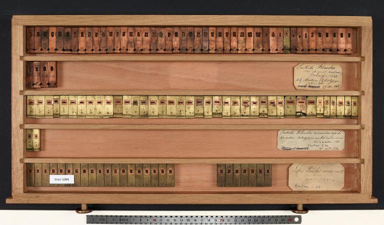 Matrices : blanche corps 6 , initiale