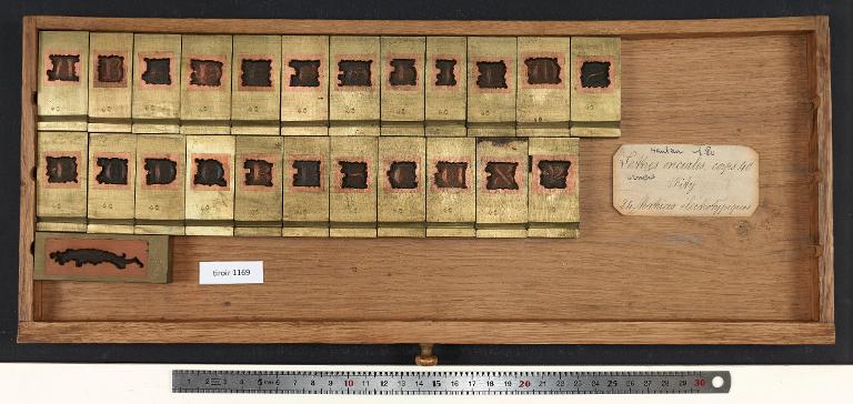 Tiroir de matrices : lettre onciales ornées Fity corps 40