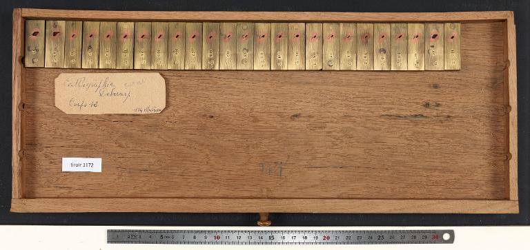 Tiroir de matrices : calligraphie Deberny corps 12
