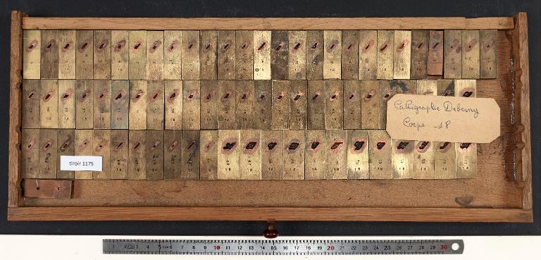 Tiroir de matrices : calligraphie Deberny corps 18