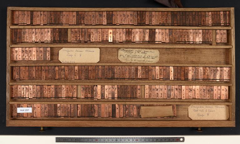 Matrices : compactes serrées Romain (gros oeil 2 crans) corps 8