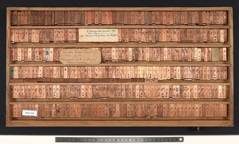 Matrices : compactes serrées Romain corps 9-10