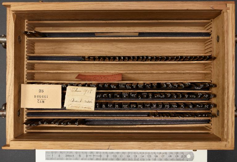 Poinçons typographiques : bougi corps 16