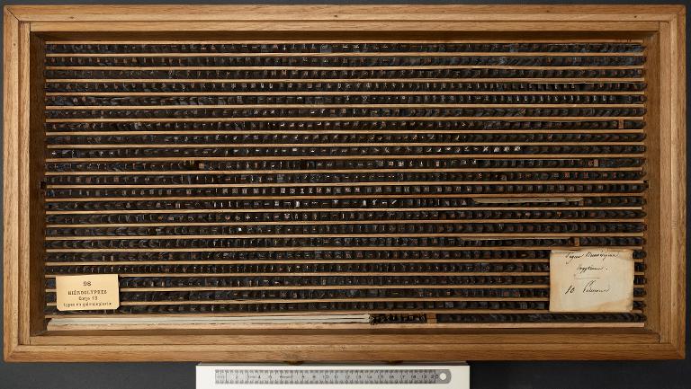 Boîte de poinçons typographiques : hiéroglyphes égyptiens corps 12