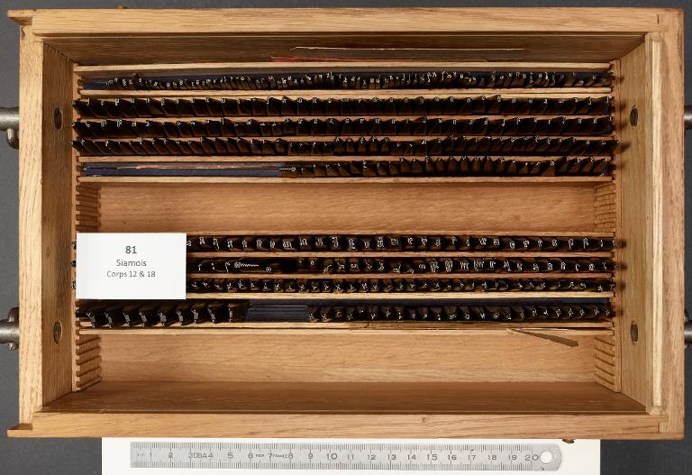 Poinçons typographiques : siamois corps 18