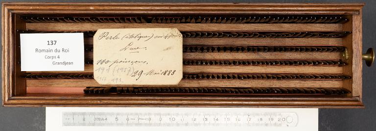 Boîte de poinçons typographiques : Grandjean corps 4