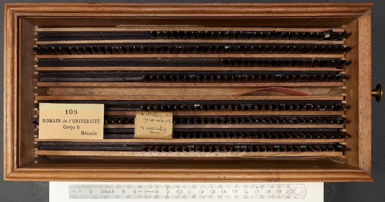 Boîte de poinçons typographiques : Garamont corps 6