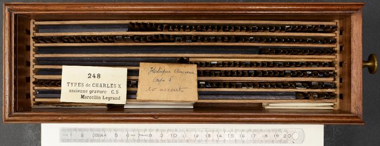 Boîte de poinçons typographiques : Marcellin-Legrand ancienne gravure corps 5